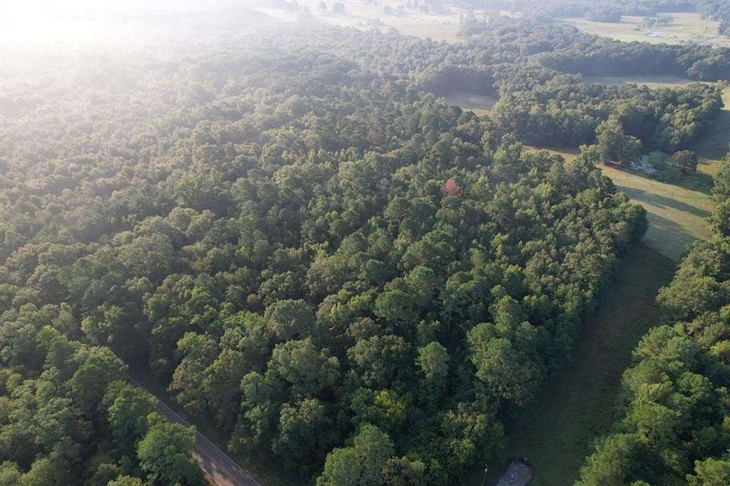 31.6 Acres of Recreational Land for Sale in Mount Enterprise, Texas