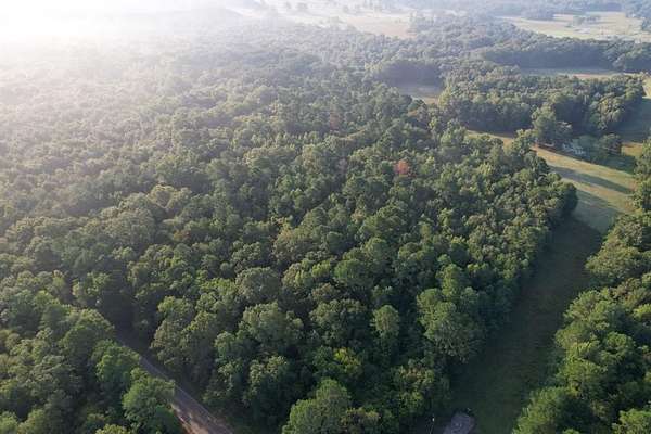 31.6 Acres of Recreational Land for Sale in Mount Enterprise, Texas