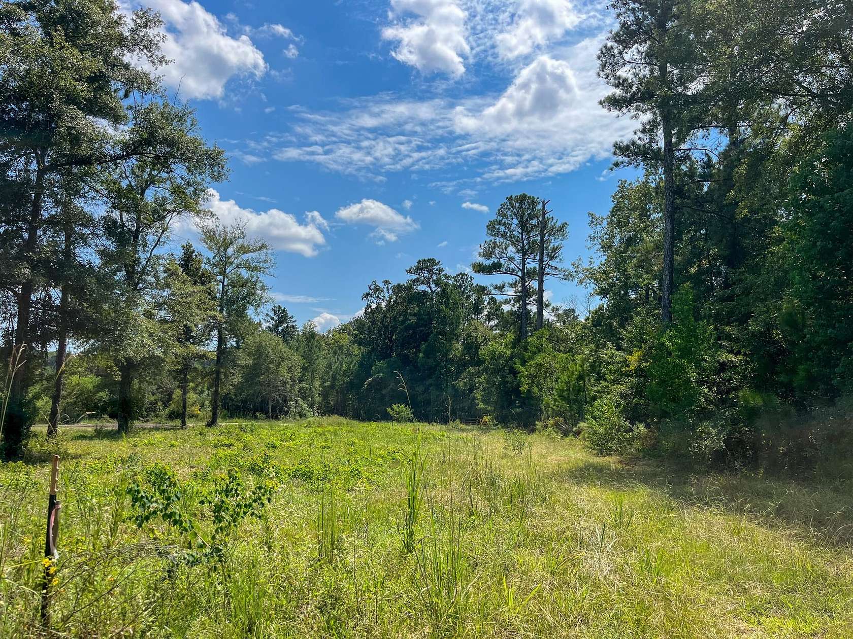 123 Acres of Land for Sale in Morton, Mississippi
