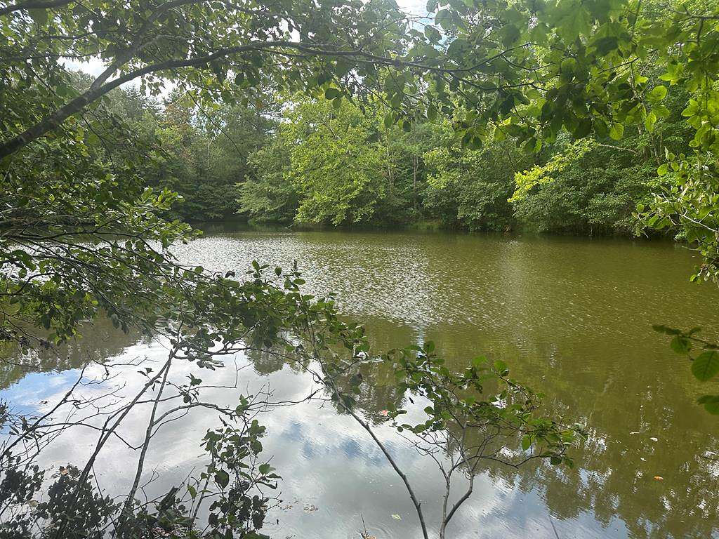 10 Acres of Land for Sale in Nathalie, Virginia