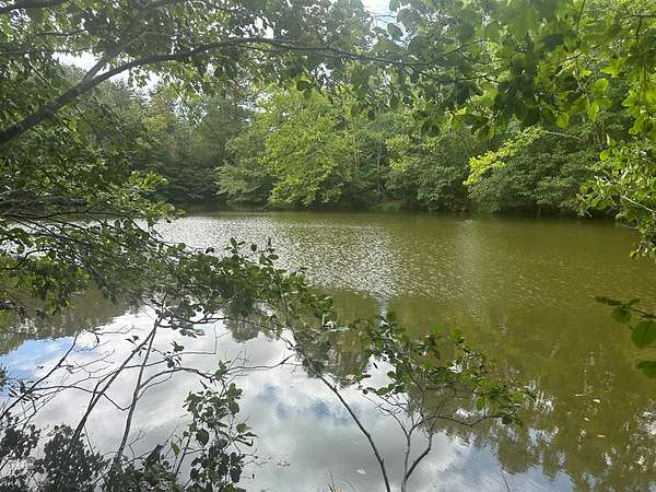 10 Acres of Land for Sale in Nathalie, Virginia