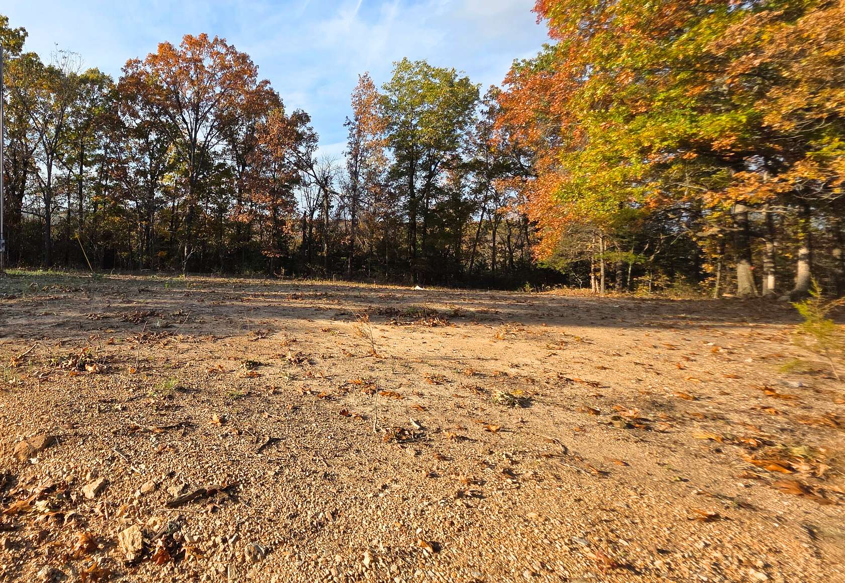 12 Acres of Recreational Land & Farm for Sale in Gainesville, Missouri