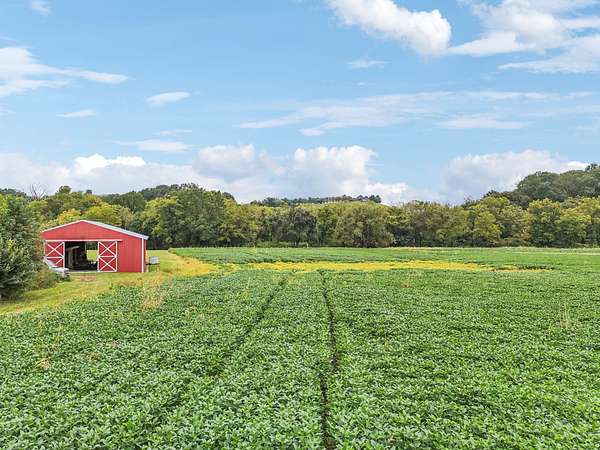 23.2 Acres of Agricultural Land for Sale in Beechgrove, Tennessee