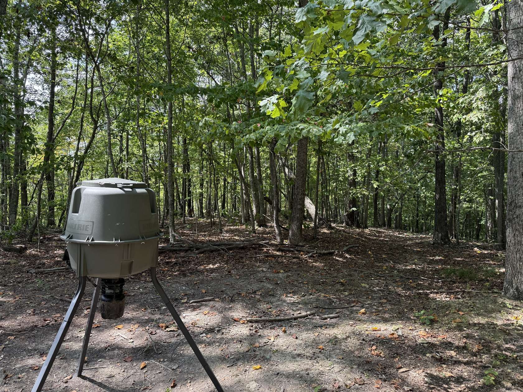 18.2 Acres of Land for Sale in Hilham, Tennessee