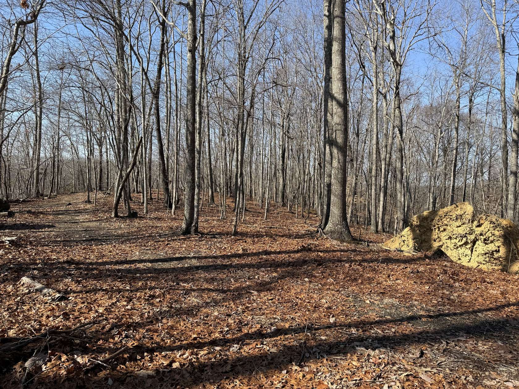 18.2 Acres of Land for Sale in Hilham, Tennessee