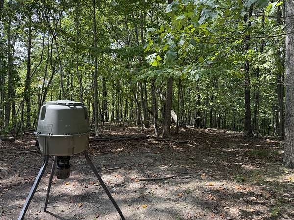 18.2 Acres of Land for Sale in Hilham, Tennessee