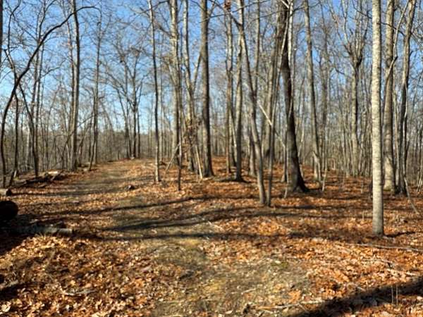 18.2 Acres of Land for Sale in Hilham, Tennessee