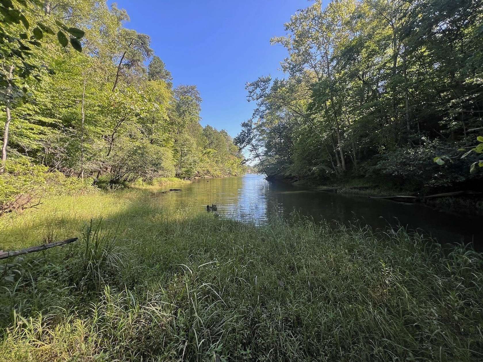 30.4 Acres of Recreational Land for Sale in Pittsville, Virginia