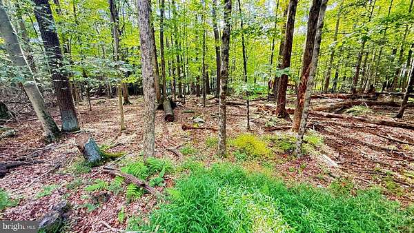 0.34 Acres of Residential Land for Sale in Lake Ariel, Pennsylvania