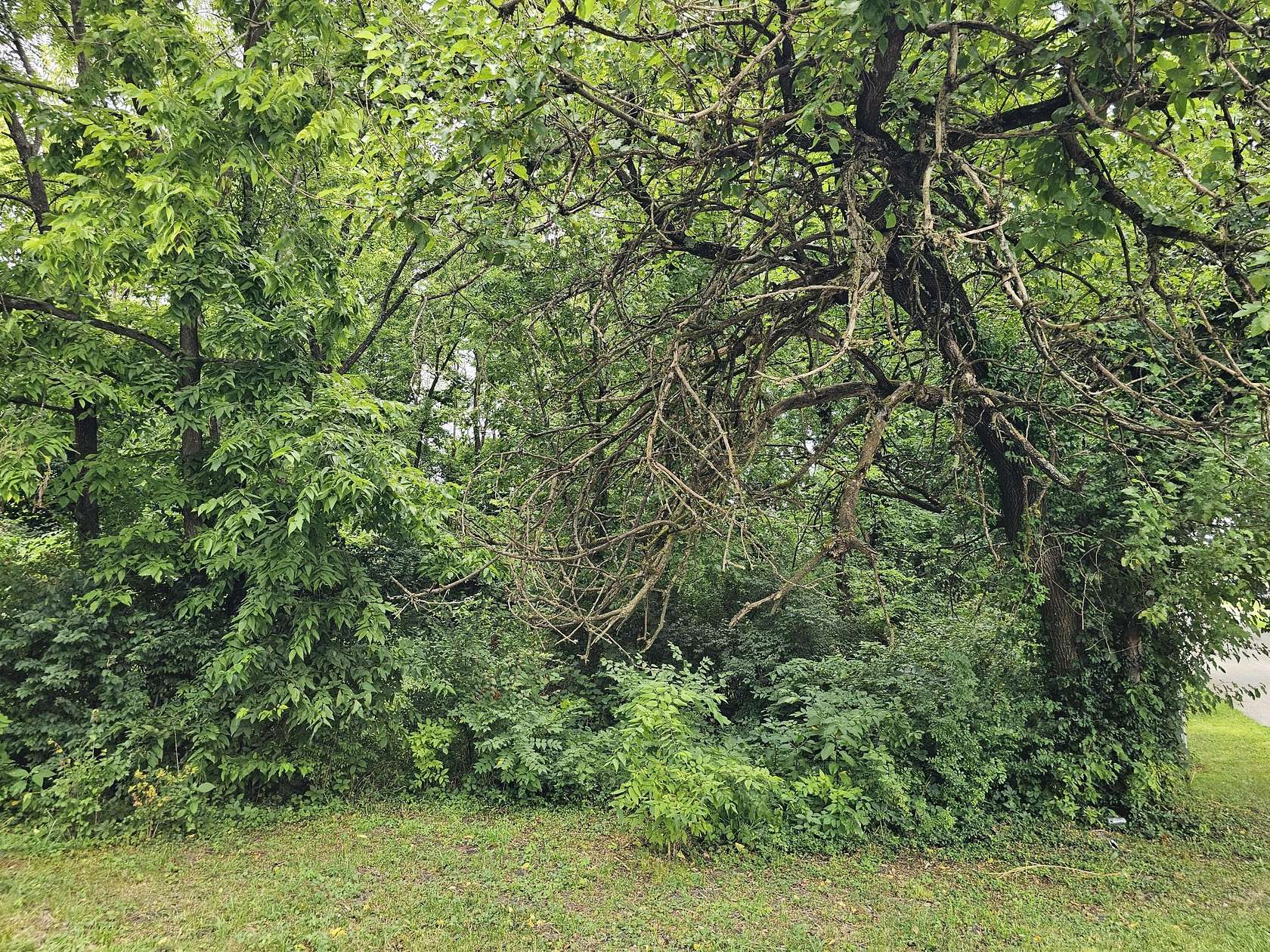 0.64 Acres of Land for Sale in Lawrenceburg, Kentucky