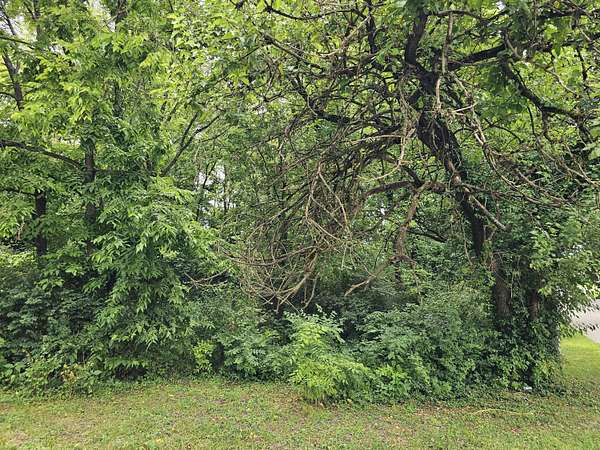 0.64 Acres of Land for Sale in Lawrenceburg, Kentucky