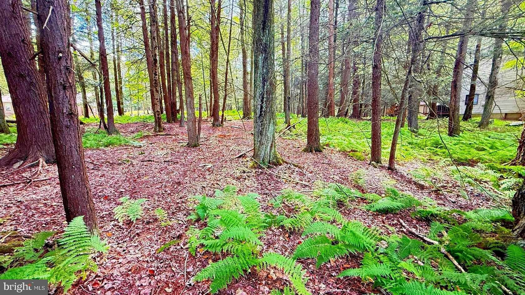 0.34 Acres of Residential Land for Sale in Lake Ariel, Pennsylvania