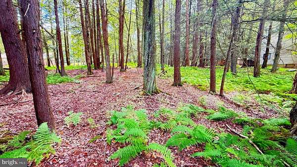 0.34 Acres of Residential Land for Sale in Lake Ariel, Pennsylvania