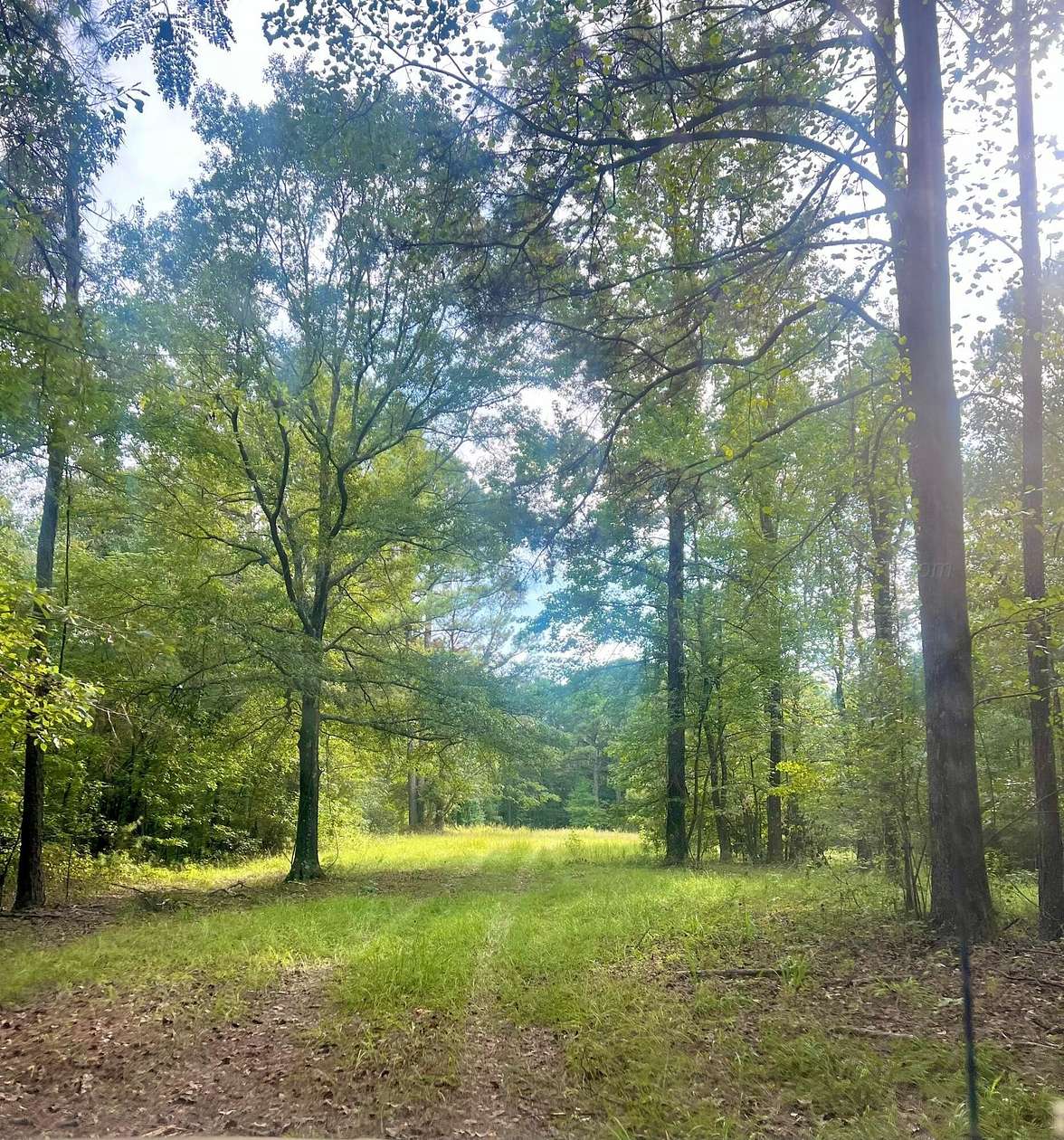 Residential Land for Sale in Dora, Alabama