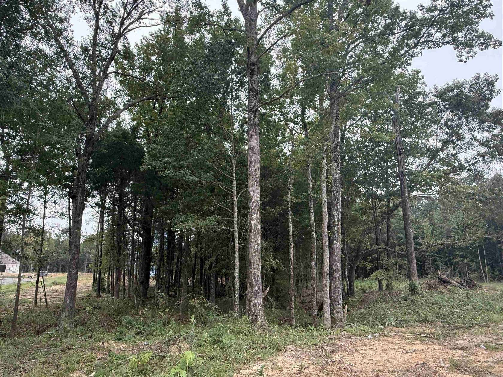 1 Acre of Residential Land for Sale in Greenbrier, Arkansas