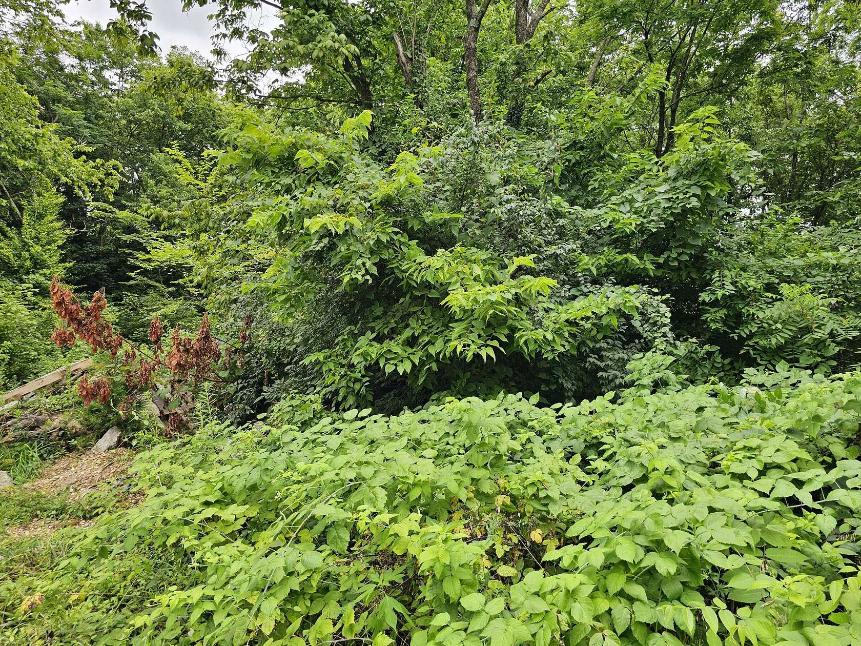 0.26 Acres of Land for Sale in Lawrenceburg, Kentucky