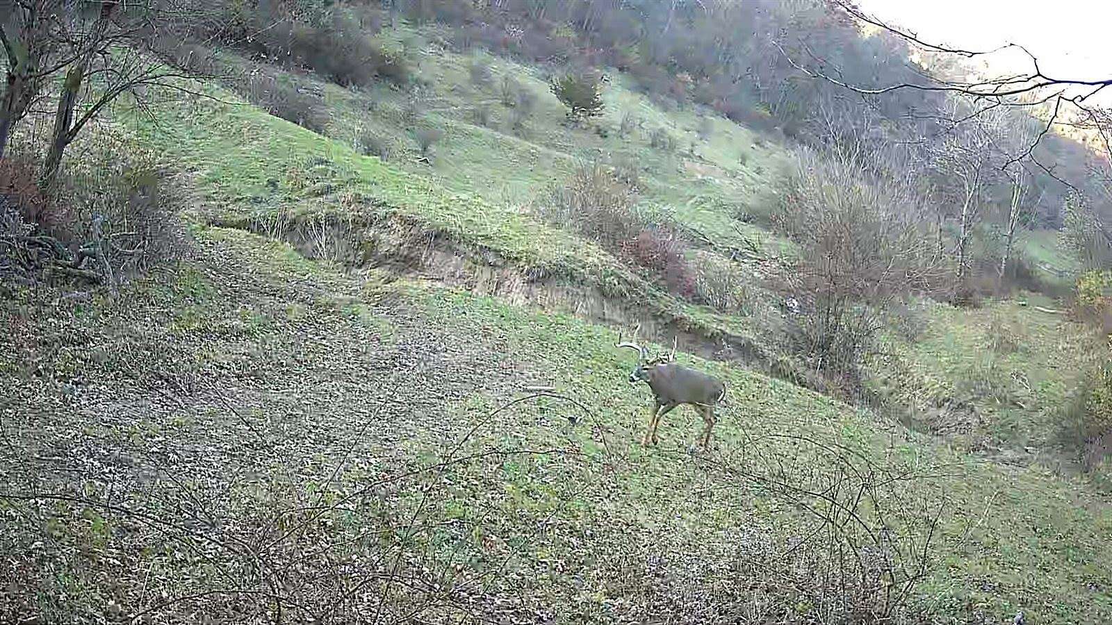 393 Acres of Recreational Land & Farm for Sale in Hickory Grove, Wisconsin