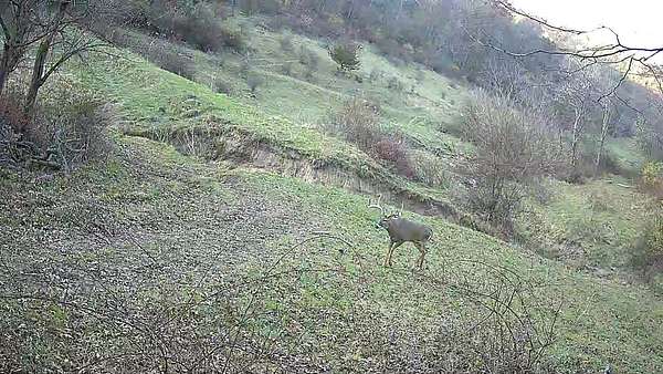 393 Acres of Recreational Land & Farm for Sale in Hickory Grove, Wisconsin