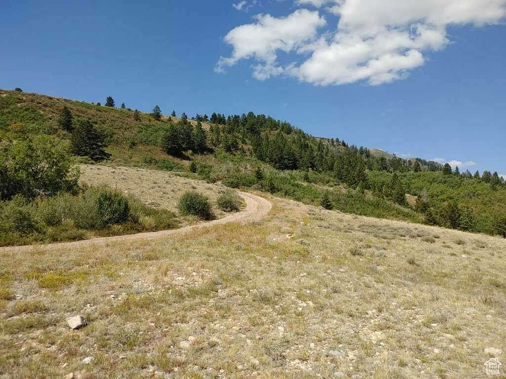 6.8 Acres of Land for Sale in Tabiona, Utah