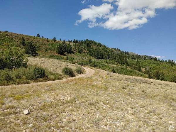 6.8 Acres of Land for Sale in Tabiona, Utah