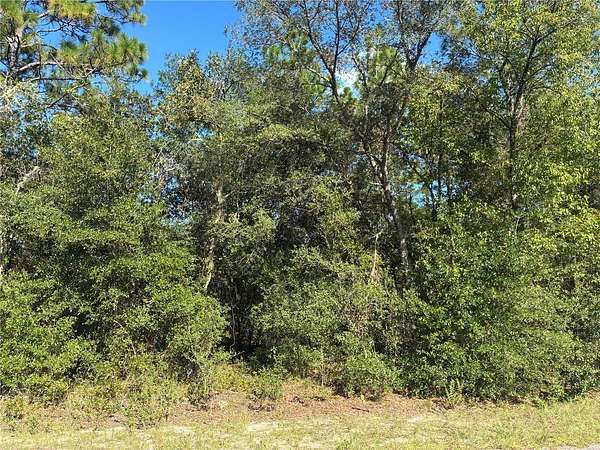 0.24 Acres of Residential Land for Sale in Dunnellon, Florida