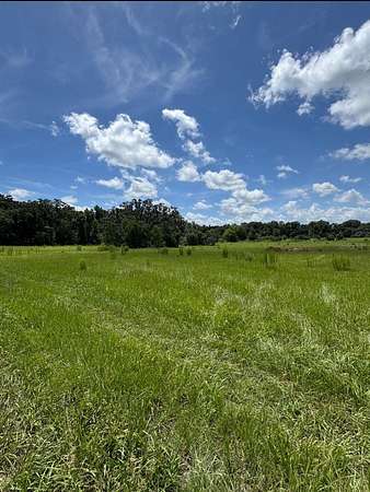 9.68 Acres of Residential Land for Sale in Ocala, Florida