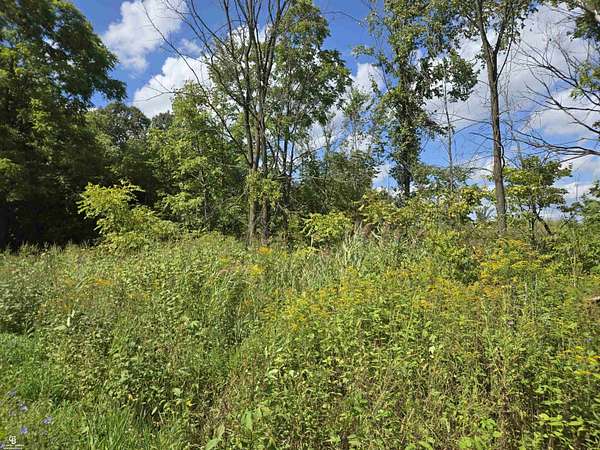 10.5 Acres of Recreational Land for Sale in Allenton, Michigan