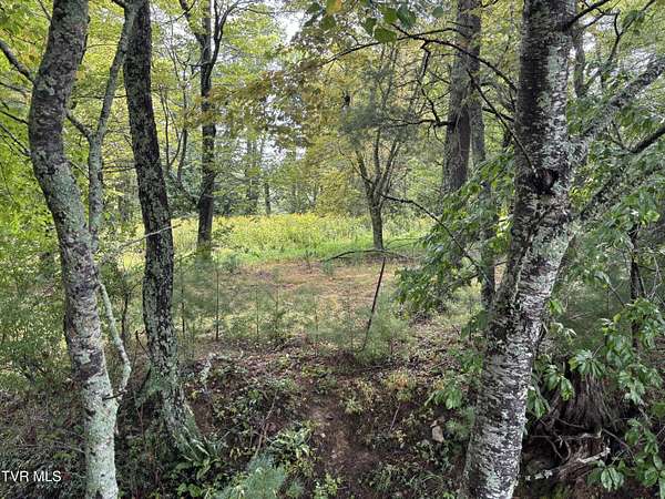 1.75 Acres of Land for Sale in Mountain City, Tennessee