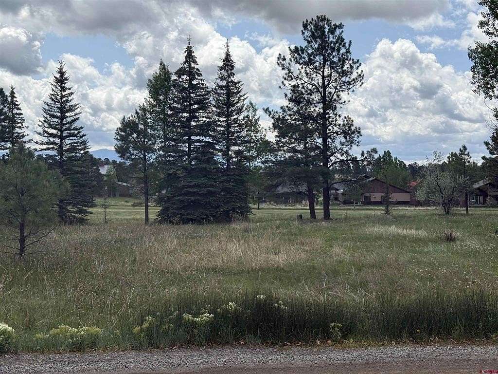 0.29 Acres of Residential Land for Sale in Pagosa Springs, Colorado