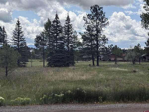 0.29 Acres of Residential Land for Sale in Pagosa Springs, Colorado