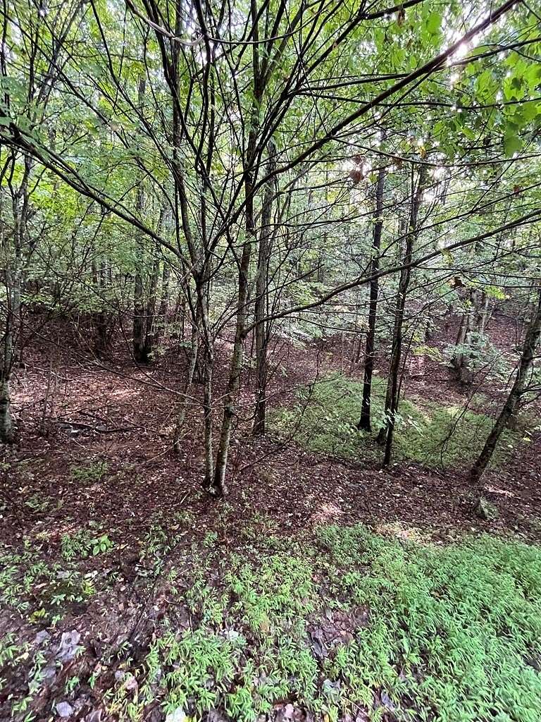 2 Acres of Land for Sale in Hayesville, North Carolina