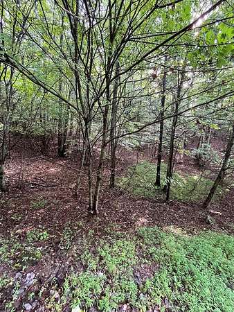2 Acres of Land for Sale in Hayesville, North Carolina