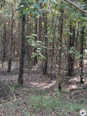 5 Acres of Land for Sale in Fouke, Arkansas