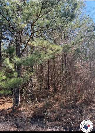 5.18 Acres of Land for Sale in Fouke, Arkansas