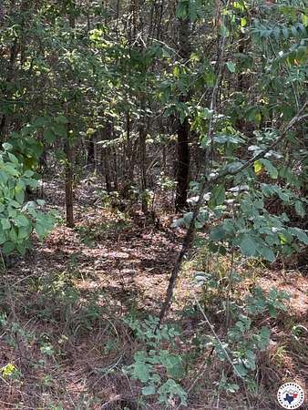 5 Acres of Land for Sale in Fouke, Arkansas