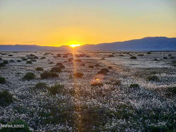 39.7 Acres of Recreational Land & Farm for Sale in Golconda, Nevada