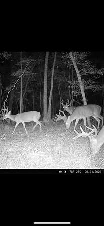 145 Acres of Recreational Land & Farm for Sale in Albany, Georgia