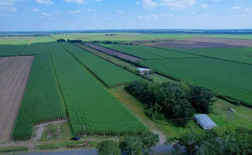 15.9 Acres of Land for Sale in Franklin, Louisiana