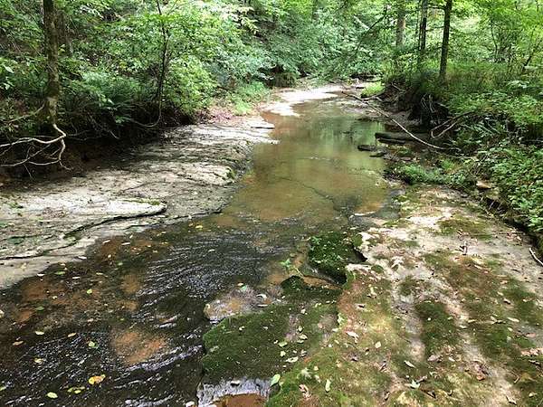 95.8 Acres of Land with Home for Sale in Ethridge, Tennessee