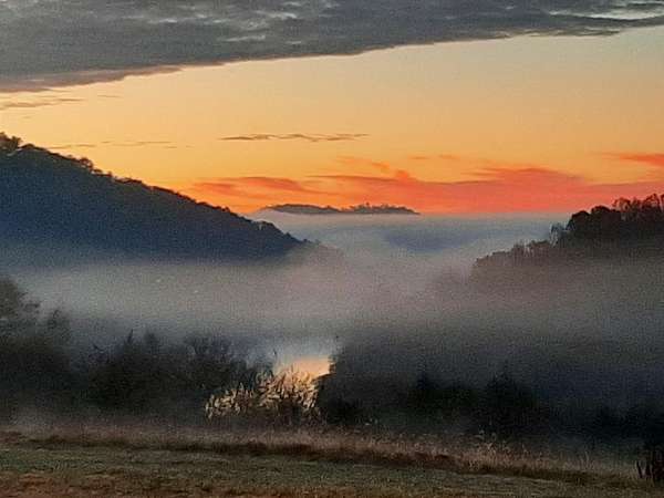 17.1 Acres of Land for Sale in Pleasant Shade, Tennessee