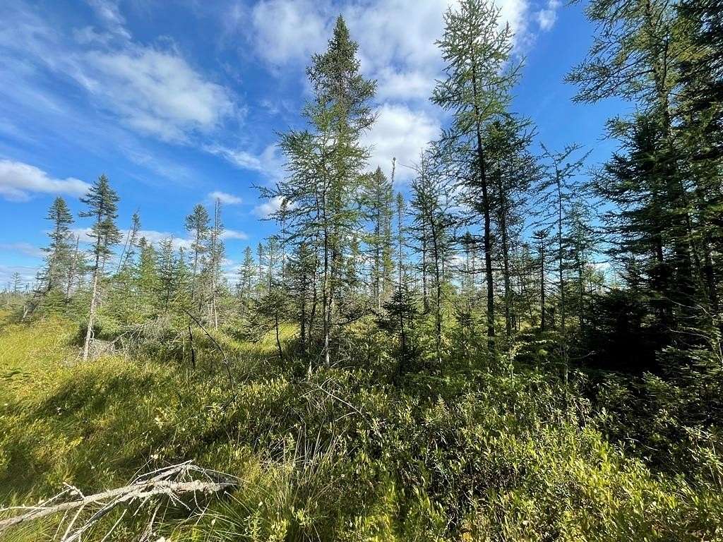 86.6 Acres of Recreational Land for Sale in Tomahawk, Wisconsin