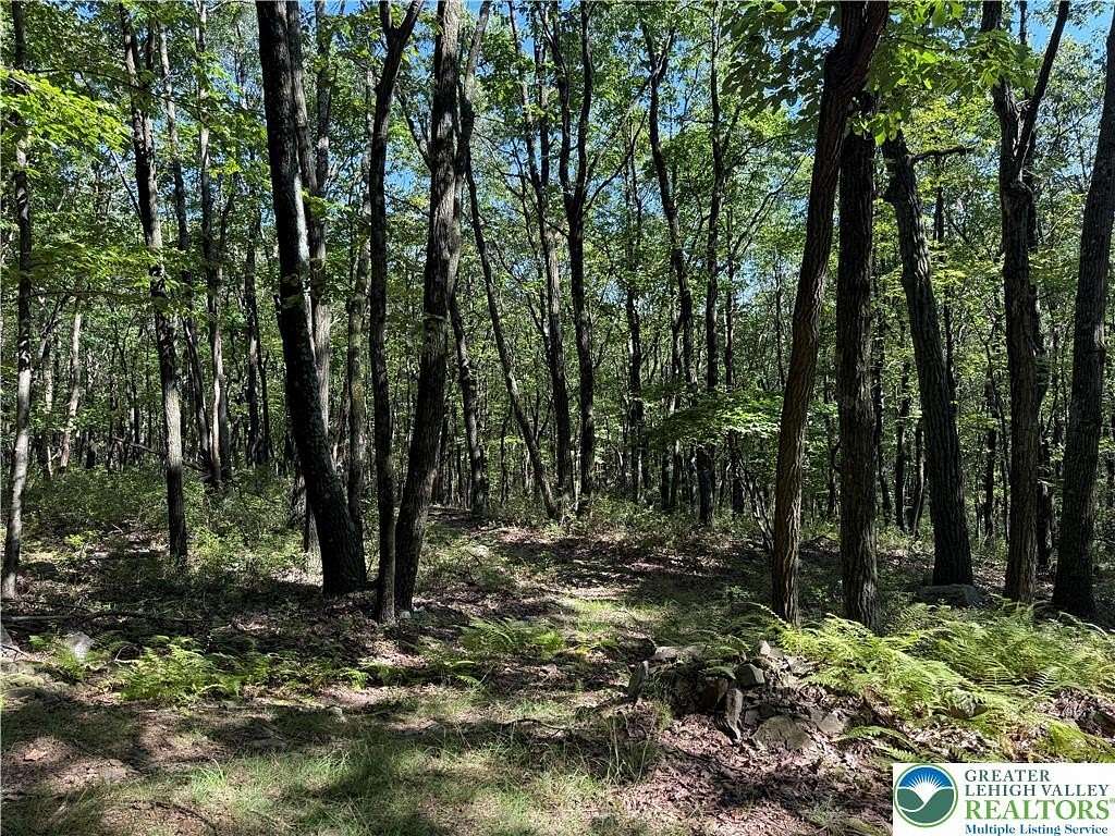 5 Acres of Residential Land for Sale in Penn Forest Township, Pennsylvania