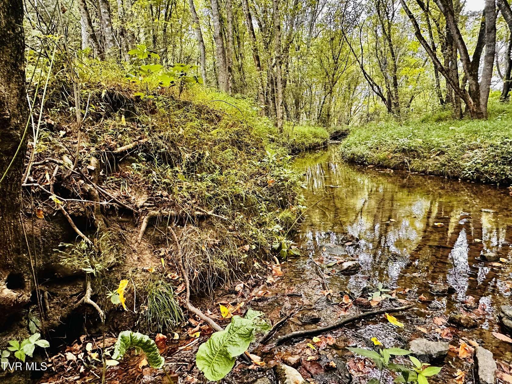 5.13 Acres of Land for Sale in Greeneville, Tennessee