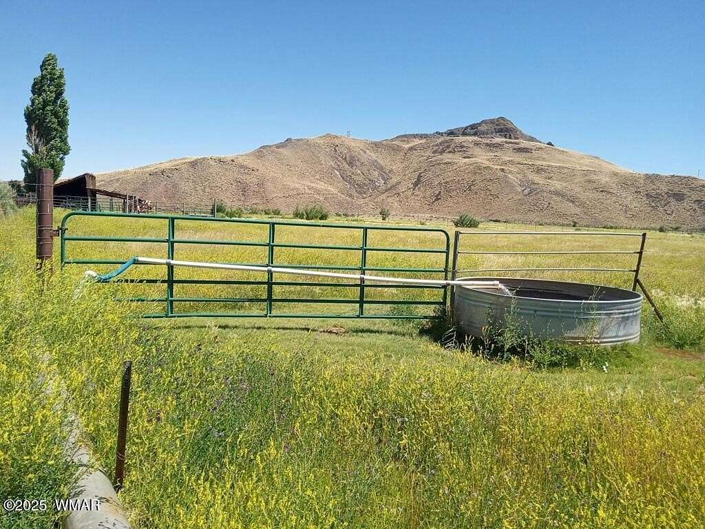 9 Acres of Agricultural Land for Sale in Woodruff, Arizona
