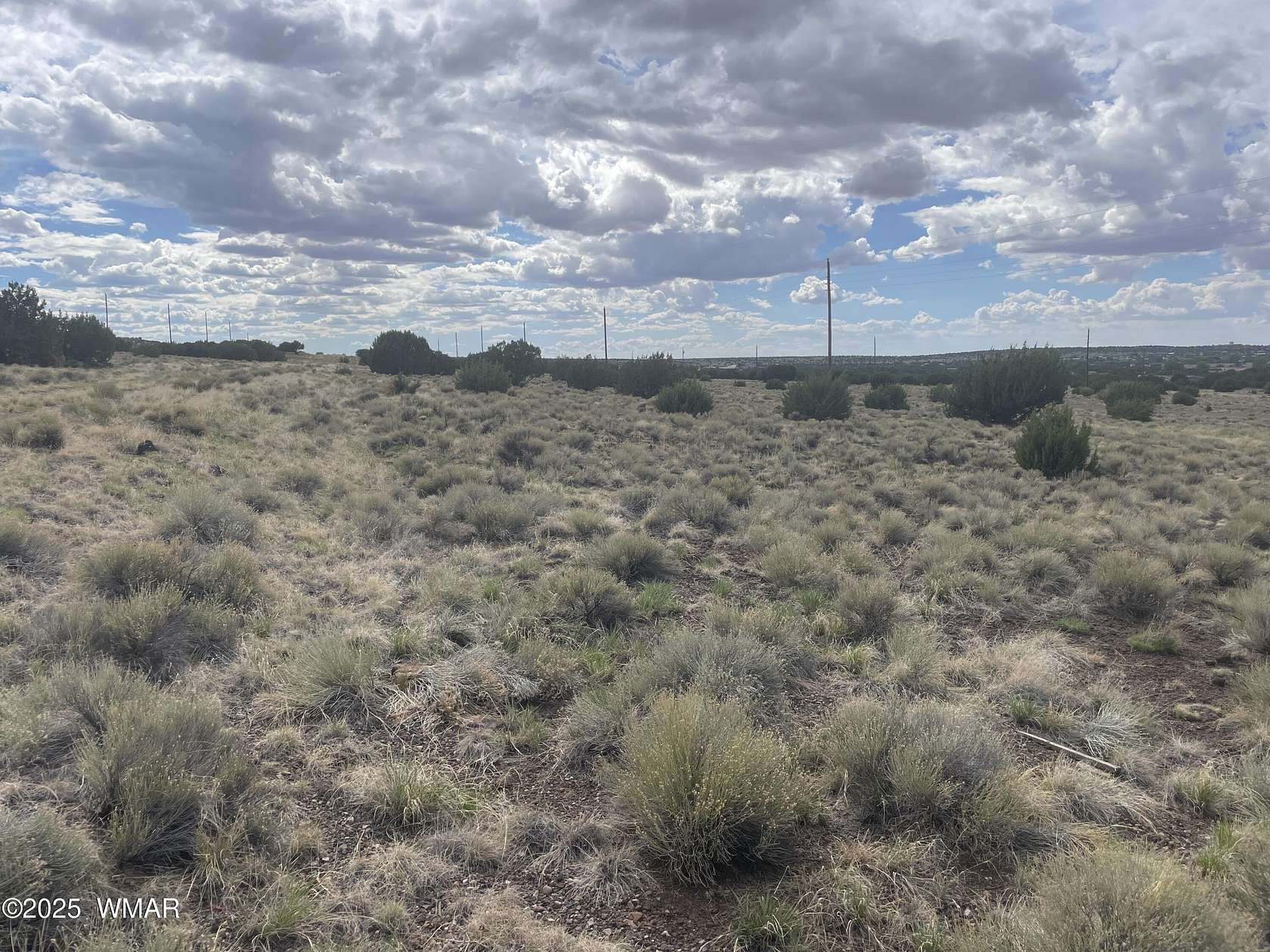 0.24 Acres of Residential Land for Sale in Concho, Arizona