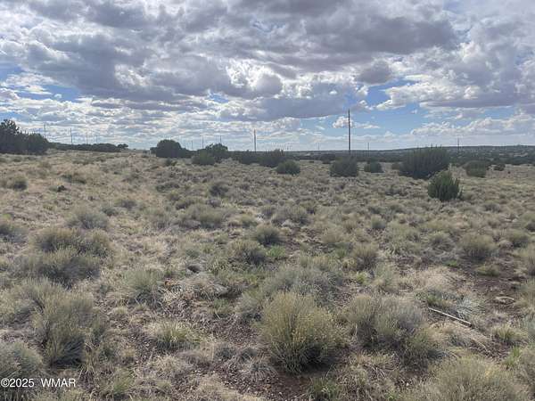 0.24 Acres of Residential Land for Sale in Concho, Arizona