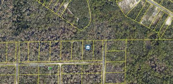 1.16 Acres of Land for Sale in Webster, Florida