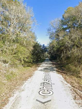 1.24 Acres of Residential Land for Sale in Webster, Florida