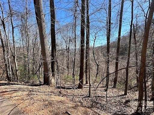 1.58 Acres of Residential Land for Sale in Swannanoa, North Carolina
