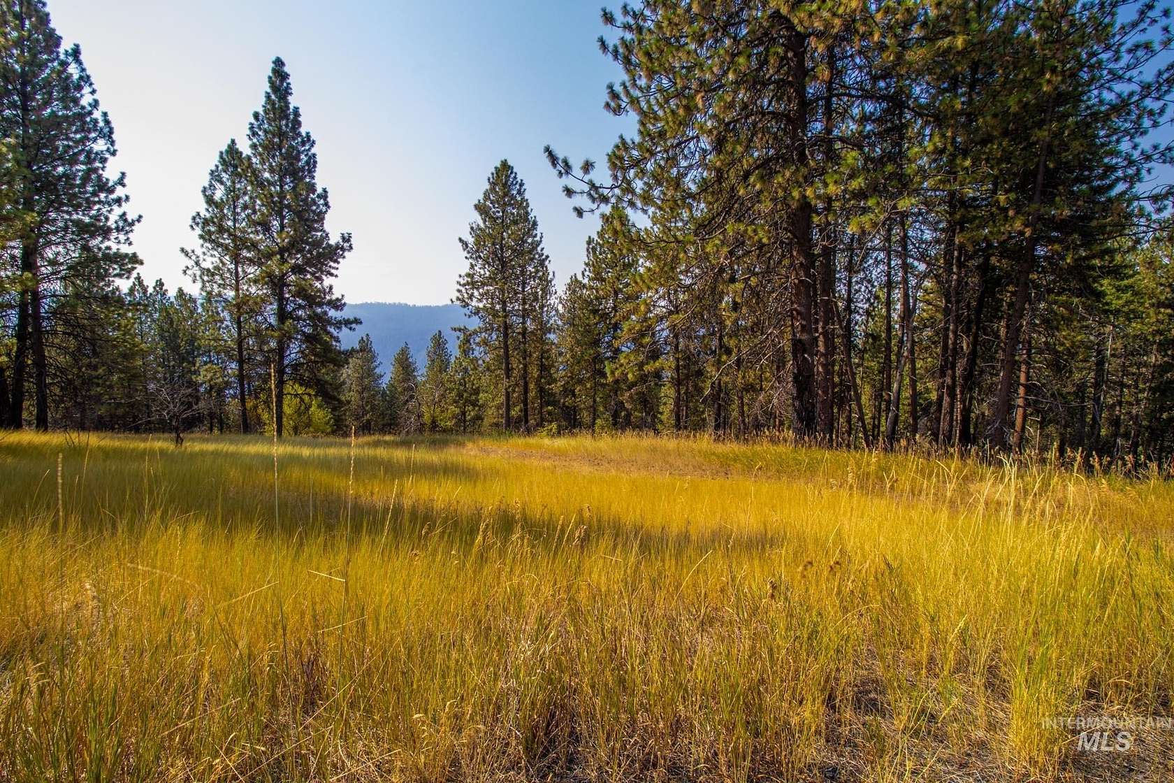 35.6 Acres of Recreational Land for Sale in Ahsahka, Idaho